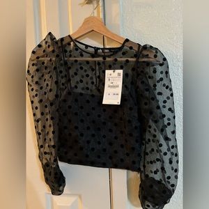 Zara Black Polka Dot Organza Semi Sheer